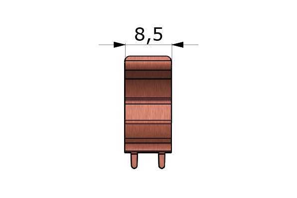 Form V1P