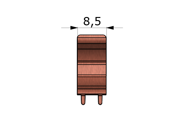 Form V1P