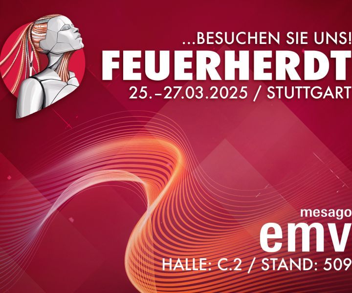 EMV 2025
